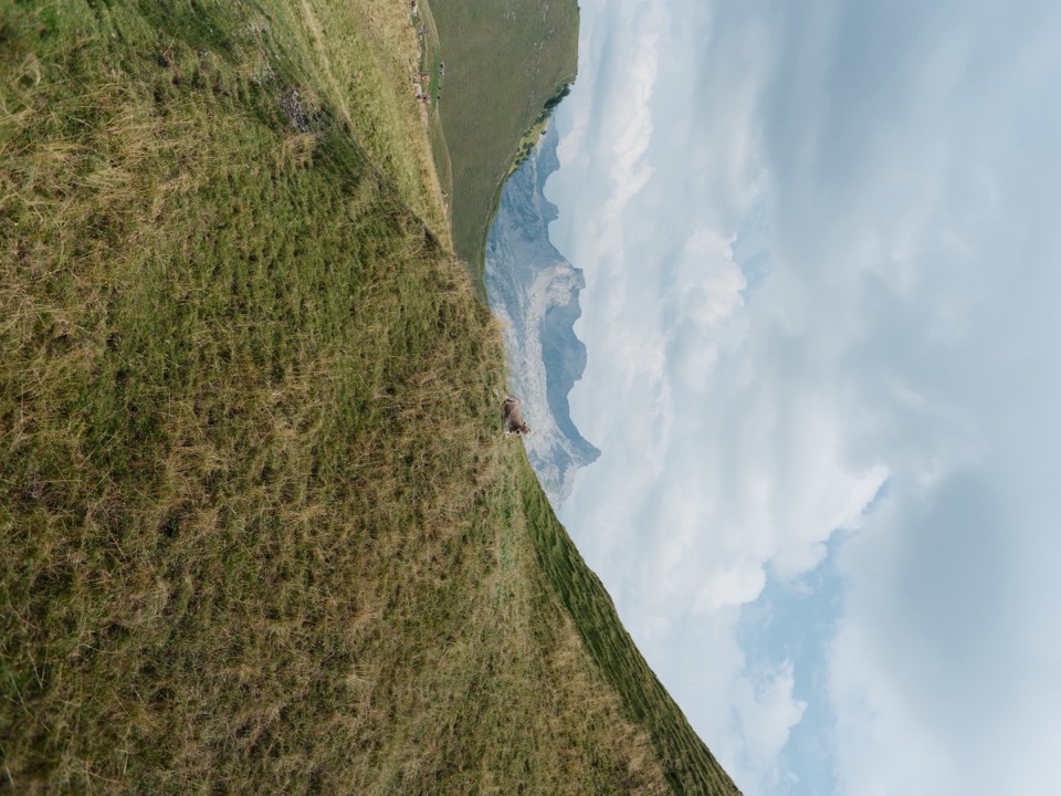 Schweizer Berglandschaft mit weidender Kuh